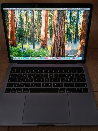 Macbook pro 2018 8gb ram - pro,