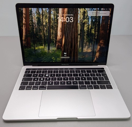 Apple macbook pro a1989 8gb - macbook,